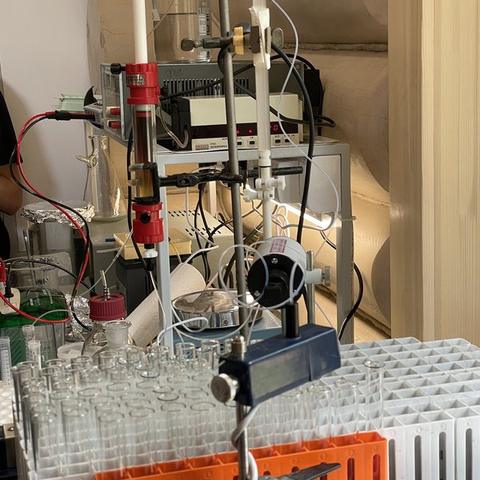 Chromatography and electrophoresis setup used to analyse the crop extracts