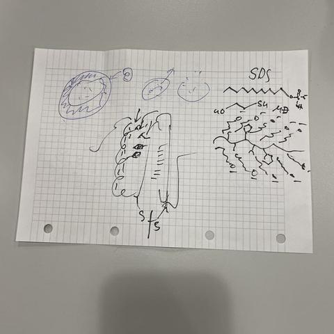 Handwritten notes sketching the electrophoresis gel and SDS structure