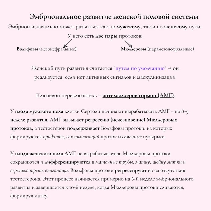 Infographic explaining the role of anti-Mullerian hormone in sex differentiation